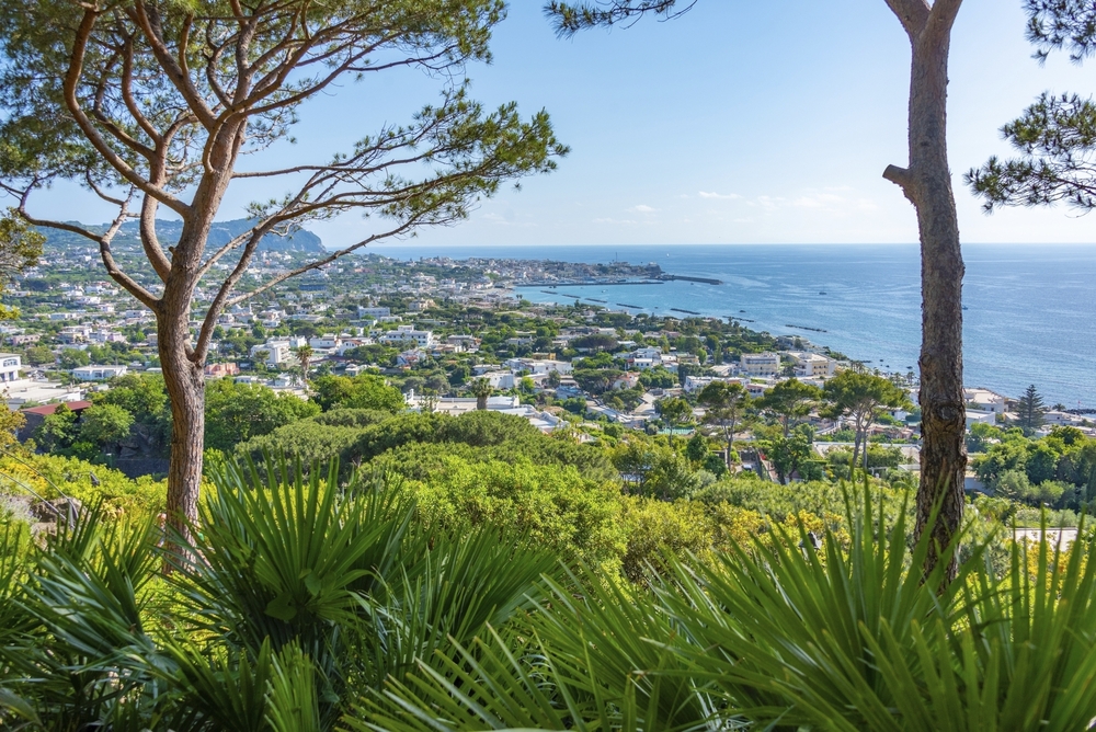 Aussicht über Natur und Küste auf Ischia