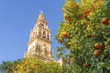 Stolzes Andalusien für Alleinreisende / mix