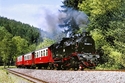 Harz-Erlebnis für Alleinreisende / BadZ